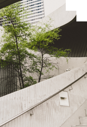 Consciousness Activities